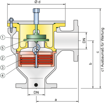 DR/ES-V